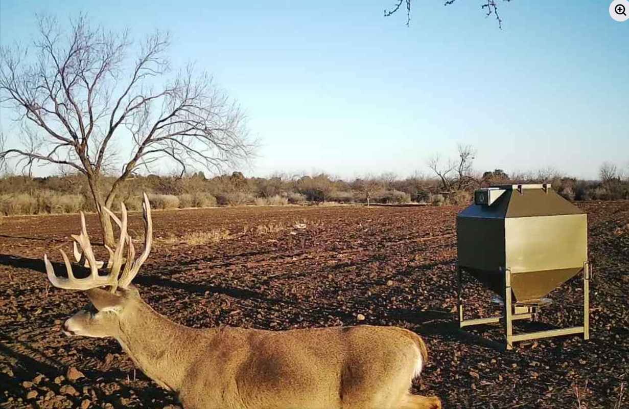 600# Lucky Buck Deer Feeder