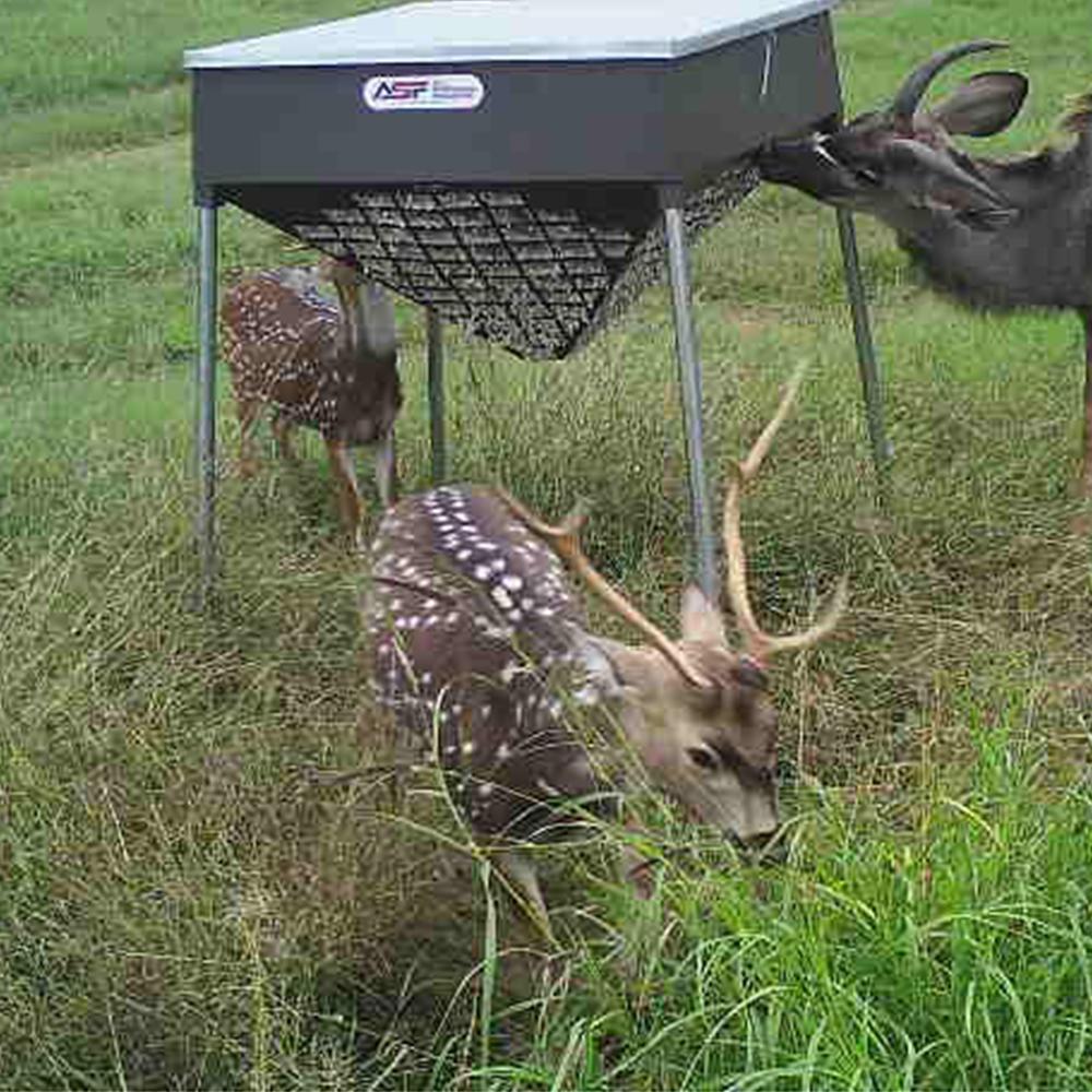 500 CottonSeed Feeder