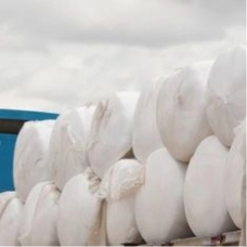 Fortified Cottonseed Bale